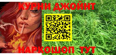 стафф Новозыбков