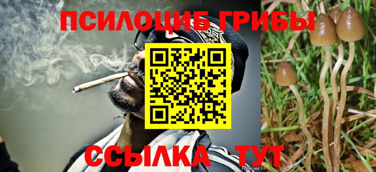 Кимовск  Псилоцибиновые грибы мухоморы  цены   Вход с VPN 