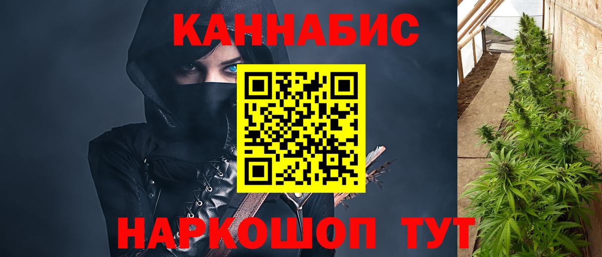 Кимовск  Канабис VHQ  Шишки марихуана планчик  Вход с VPN 