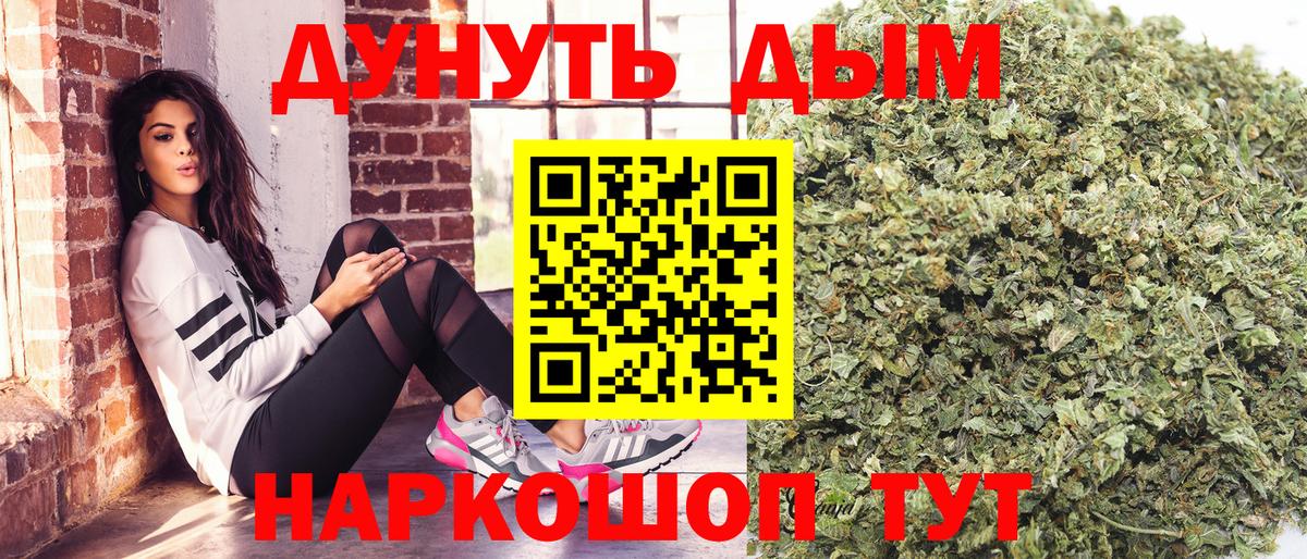 Бошки Шишки конопля Кимовск